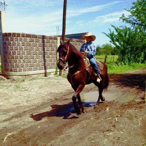 Meet your Posher, Danny